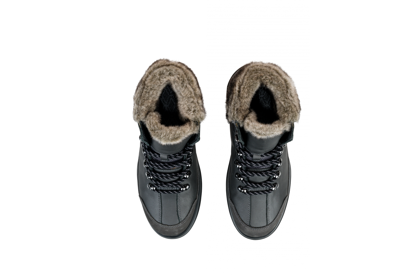 Montana anthracite