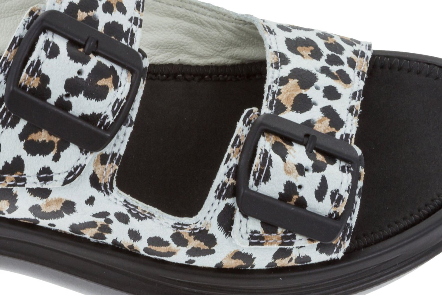 Glarus leopard